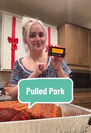 Heavenly Pulled Pork Recipe with Thermometer Tips