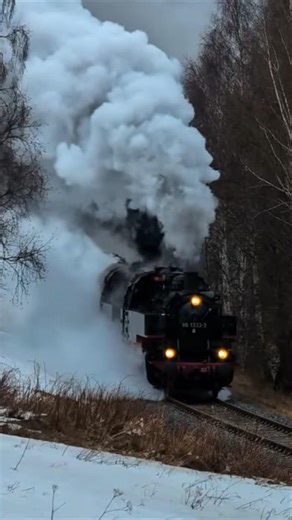 Die zwei Br86 mit @hagenvonortloff4816 im Führerstand! #trainspotting #steamtrain #steam