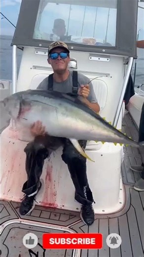 Toona Fish Cutting | #shorts #viral #viralshorts