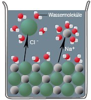 Das Lösen von Salzen - Chemie-Schule