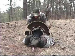 Gobbler Guillotine Turkey Hunt "Lop Off It's Head" - Part 1
