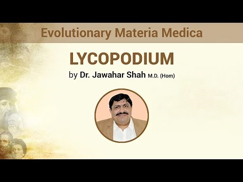 Evolutionary Materia Medica of Lycopodium Homeopathy Remedy