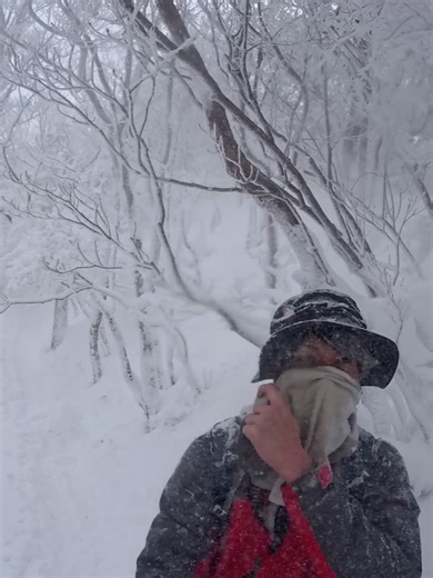 山ippo じんやん on Instagram: "【関西のマッターホルン❄️高見山】 これが有名な霧氷トンネルです！ めっちゃキレイ☺️ #山ippo #登山 #高見山 #霧氷 #登山好きな人と繋がりたい"