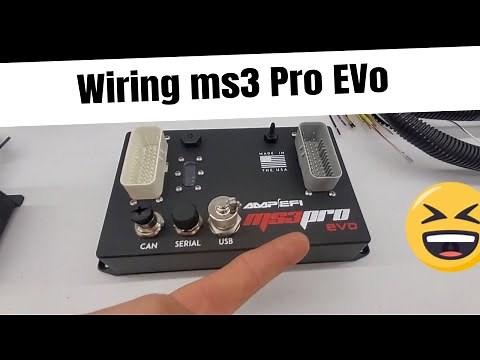 Building A Megasquirt wiring Harness from scratch! Going coil on plug! for the Suicid3 MX3 MS3pro