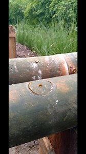 3.5K views | Alejandro Hernandez on Reels | Facebook