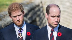 Kensington Palace confirms Harry and William to reunite for Diana statue unveiling