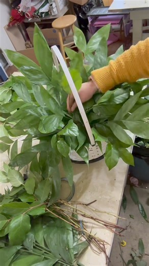 Let’s make a Sympathy basket from our website. | Flowers by the Bunch