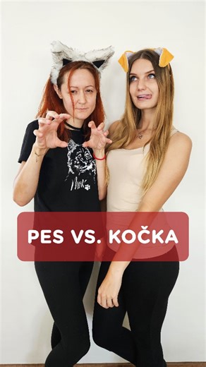 2K views · 16 reactions | Když uteče  vs.  a pak se vrátí domů, vypadá to nějak takto 藍 #kocka #pes #rozdil #zivotsepsem #kockajepan #prichod #pesjelaska #kockajeradost #milujem #zivotskockou #mnau #haf | SpokojenyPes.cz s.r.o. | Facebook
