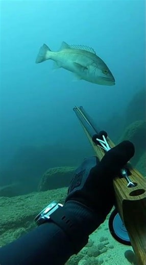 I Hesitated POV #POV #DeepSea #HighRisk #RealFootag