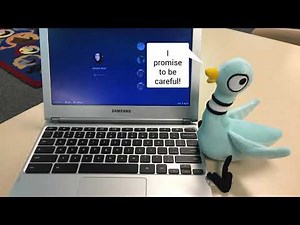 Dont Let the Pigeon Touch the Chromebooks!