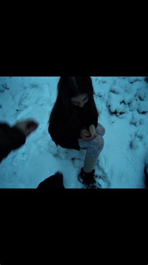 Exploring Snowy Forests with Digital Cameras