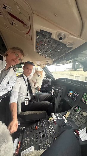 296 reactions · 27 comments | Champ is helping pilot from Charleston WV today#cmp #christymartin #christy | Christy Martin Promotions | Facebook