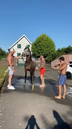 Matt Mathews on Instagram: "I identify as a horse…"