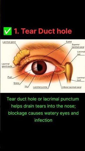 Tear Duct Hole in Eye | Blocked Tear Duct Explained | Epiphora and Dacryocystitis Treatment #eyes