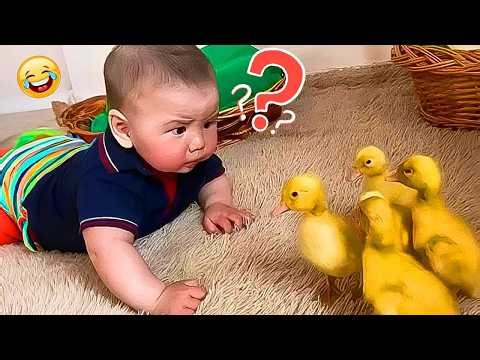 Hilarious Baby Bloopers Compilation! Try Not To Cry Laughing Best Trending Funny Babies Videos! 😂