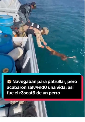 🐶 Navegaban para patrullar, pero acabaron salv4ndo0 una vida: Unidades del Servicio Nacional Aeronaval r3scat4n a un perro que estaba a la deriva en mar abierto en Río de Janeiro. Durante su patrullaje marino, se encontraron a un perro en mar abierto entre Isla Grande y Puerto Lindo. Lograron subir al perro al barco y darle un resguardo seguro hasta llevarle a suelo firme.