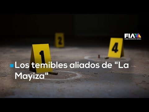 Los temibles aliados de "La Mayiza" para la guerra entre facciones