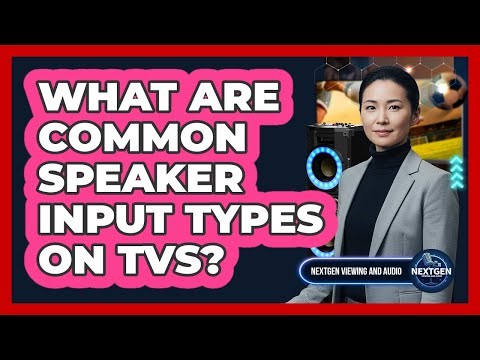 What Are Common Speaker Input Types On TVs?
