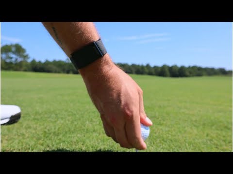 Everything You Need To Know About WHOOP