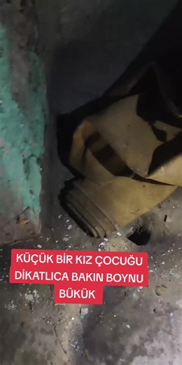 Korku Heyecan: Canlı Yayında Gece Macerası