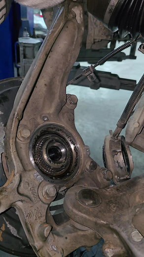 How to Change Raptor Wheel Bearings Effectively