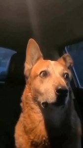 231K views · 986 reactions | 藍藍藍藍藍 Al link UPDATE calendario MX 2025: https://www.mxbars.net/2024/12/10/2025-mxgp-calendar-updates-with-the-returns-of-mxgp-of-portugal-and-great-britain/ | MxBars.net | Facebook