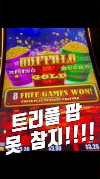 Only $3, but the free spins never end... Buffalo Triple Power #shorts