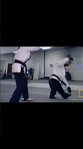 Chimpanzee Showing Off Real Karate Skills