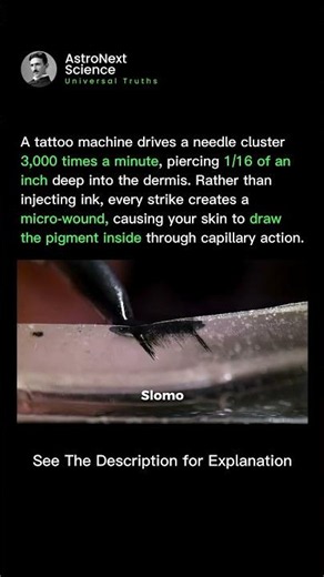 The Physics of Ink: How Tattoos Work in Slow Motion