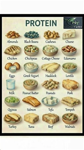 Not Getting Enough Protein? These Foods Have You Covered!