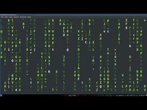 Bash Scripting 3 -- Variables and Quoting