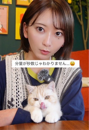 色とりどりの野菜炒めレシピ