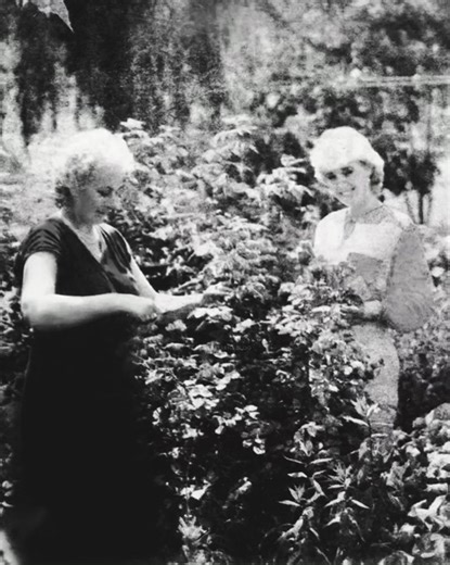 Ifeta...🕊️❤️‍🩹 @LepaBrena #lepabrenakraljica #lepabrena #lepa #brena #queen #queen #quotes #hitovizasvavremena #balkanskazvezda #yugoslavia #mojojmajci #majka