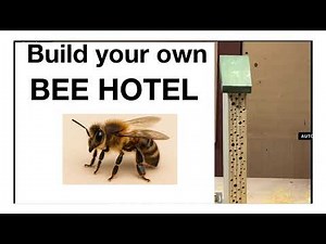 Build a Bee Hotel – Easy DIY for Wildlife Lovers.