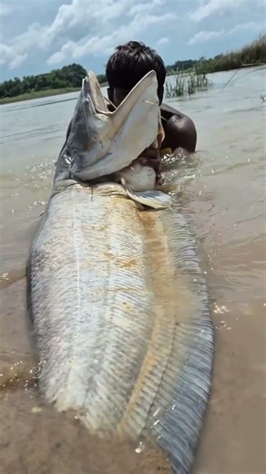 Big Fish Finding On The Big Lake #fishing #handfish #fish
