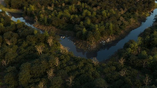 Procedural Forest Environment | Houdini + Maya + USD + Arnold, kishore sarakadam