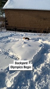 249K views · 5.8K reactions | Backyard Olympics Begin | Wrestling News | Facebook
