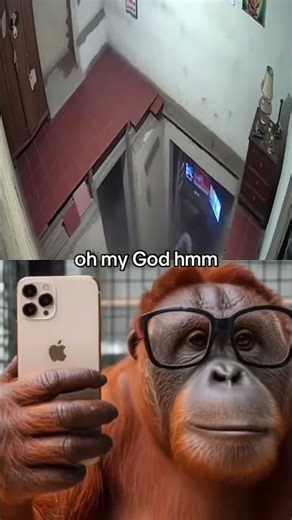 Really 👀 #compilation #funny #ai #aivideo #compliation