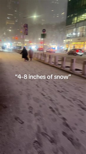 they drag it every time 🤦🏿‍♂️ they was talking bout a snow storm😒😒 #nyc #snowstorm #fyp