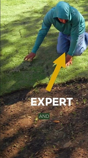 Expert Installation - USA Sod