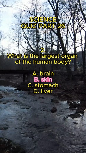 SCIENCE QUIZ PART 26 HOW MANY CORRECT ANSWERS CAN YOU GET? #science #generalknowledge #quiz #sciencequiz #generalknowledgequiz #trivia #triviaquiz #funfacts #interestingfacts #sciencefacts #gk #generalknowledge #scienceiscool #sciencerocks #learning #education #brainteaser #puzzle #mindteaser #REELS #REELS2023 #reelsvideo #generalknowledge #reelsviral #reelsfbシ #reelsinstagram #reelsfbviral #reelsusa | QUIZ ZONE