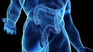 clip-1096169569-3d-rendered-medical-animation-intestinal-microbiome