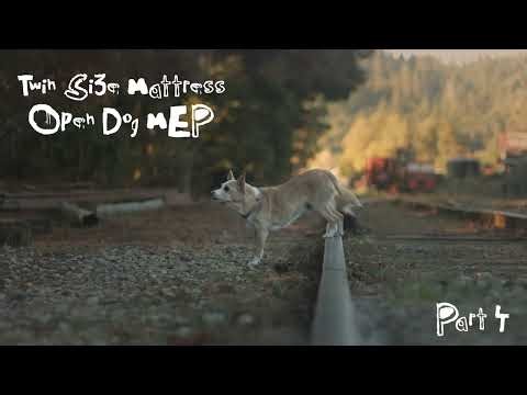 CLOSED DOG MEP “Twin Size Mattress”