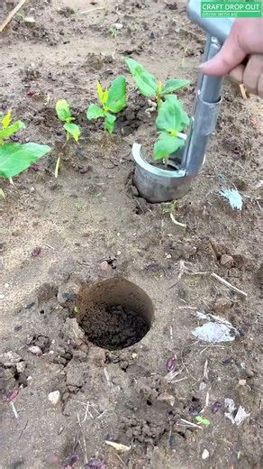 Soil Plug Transplanter in Use for Seedling Placement 🌱