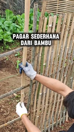 Simple fence made of bamboo #unique #gardening #creative ideas #agriculture