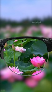 👓Smart color-changing reading glasses that can be easily used indoors and outdoors ✅Fashionable UP sun protection glasses ✅You only need one pair to see near and far, you can see everything clearly after wearing it 🔥Latest upgraded model, special sale | Floweraup us