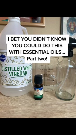 DIY Non-Toxic Cleaner Recipe with Eucalyptus Oil | Guru Nanda