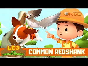 HELP! The bird CRASHED into the WINDOW! | Leo the Wildlife Ranger Spinoff S3E01 | ‪@mediacorpokto‬