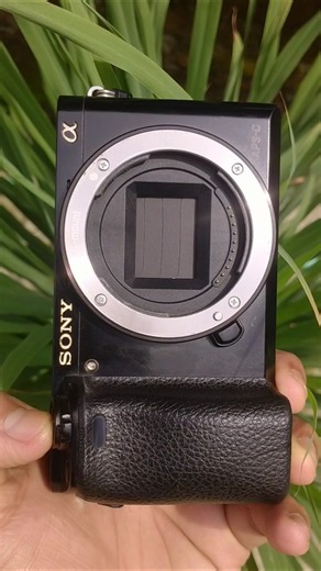 Camera Shutter Sound Effect | Rapid Shutter Sound Effect | Camera Sound Effect | #asmr #photography