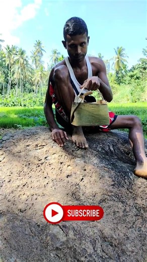 Ancient Eco-Friendly Water Bucket! 🥥💧 Primitive Survival Skills #Shorts #Survival #Europe #Nature